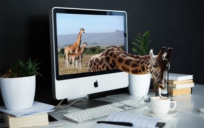 Email Marketing Mastery: Techniques to Drive Engagement and Boost Your Business Success