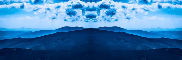 Maximize Your WordPress Experience: Top Tips for Site Optimization and User Engagement