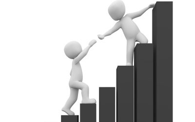 Transforming Your Business Model: Key Strategies for Adapting to Market Trends and Consumer Needs