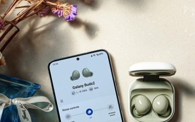 Elevate Your Brand Presence: Essential Social Media Marketing Techniques for Maximum Impact